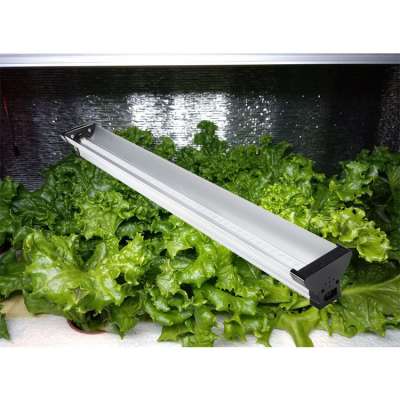 supply home wall systems aquaponic room garden office pot vegetables hydroponic grow led light