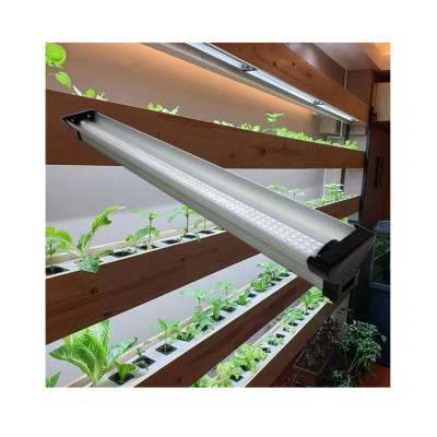 australia white 150 watt 250w 5000k purple horticulture waterproof green grass modular led grow lights for cucumber