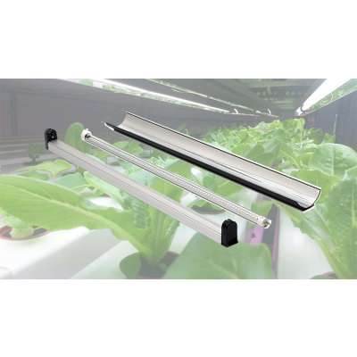 thailand no fan full spectrum indoor 340w 360w double ended reflector hydroponic greenhouse timer led grow lights t5