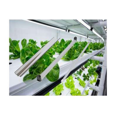 sale used hydroponic fodder equipment vertical farming aeroponics systems led t5 grow light