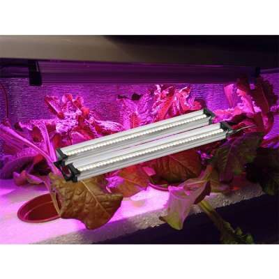 urban hydroponic shipping container full system house led bar strip grow lights for vertical farming