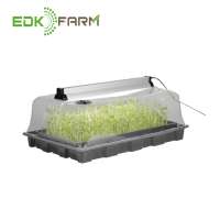 Mini heating hydroponic systems home garden planter plastic seed germination  tray aeroponic propagator