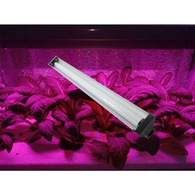 spain 8ft best low voltage full spectrum 340w 600 watt flexible dimmable programmable farm veg/bloom led grow light fixture